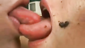 Lesbian girlfriends lick boobs and lips of each other in bed