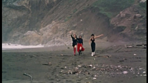 Fraulein Leather - Vintage