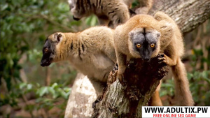 Beautiful Step-Milf Justine Seduces Good Touching Step son