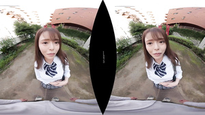 DS VR 1654 A - Japanese