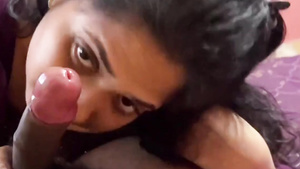 Indian Desi Giving head POV video